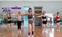 健美操视频,打造完美身材的健身之旅